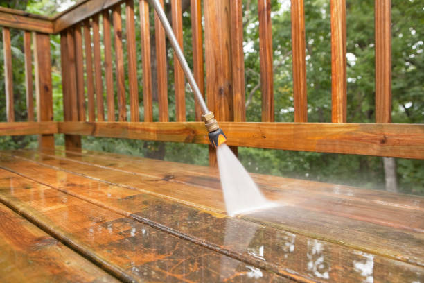 Best Roof Pressure Washing  in Thomaston, NY